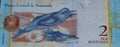 Venezuela 2 Bolivares 2012 Dolphin Banknote UNC