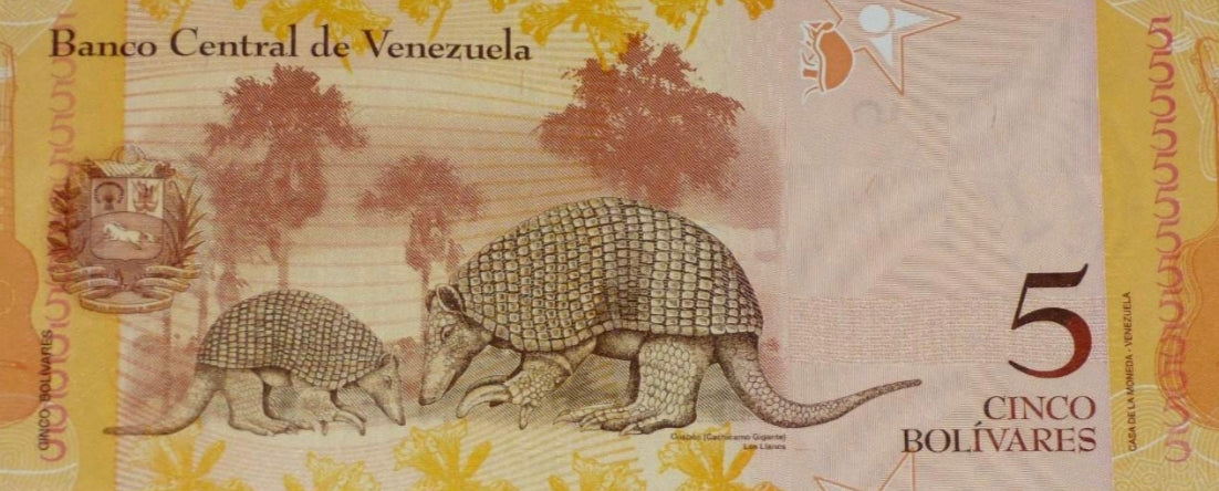 Venezuela 5 Bolivares 2013 Armadillo Banknote UNC