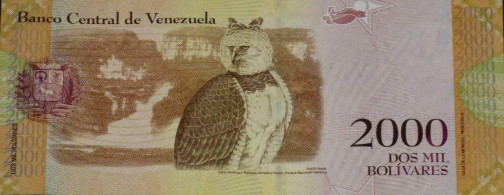 Venezuela 2000 Bolivares 2016 Owl Banknote UNC