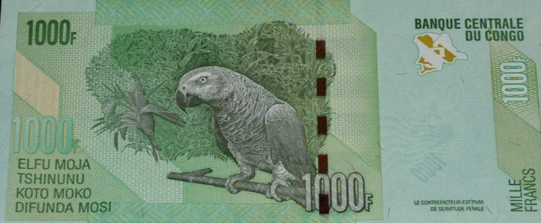 Congo 1000 francs 2022 African Gray Parrot Banknote UNC