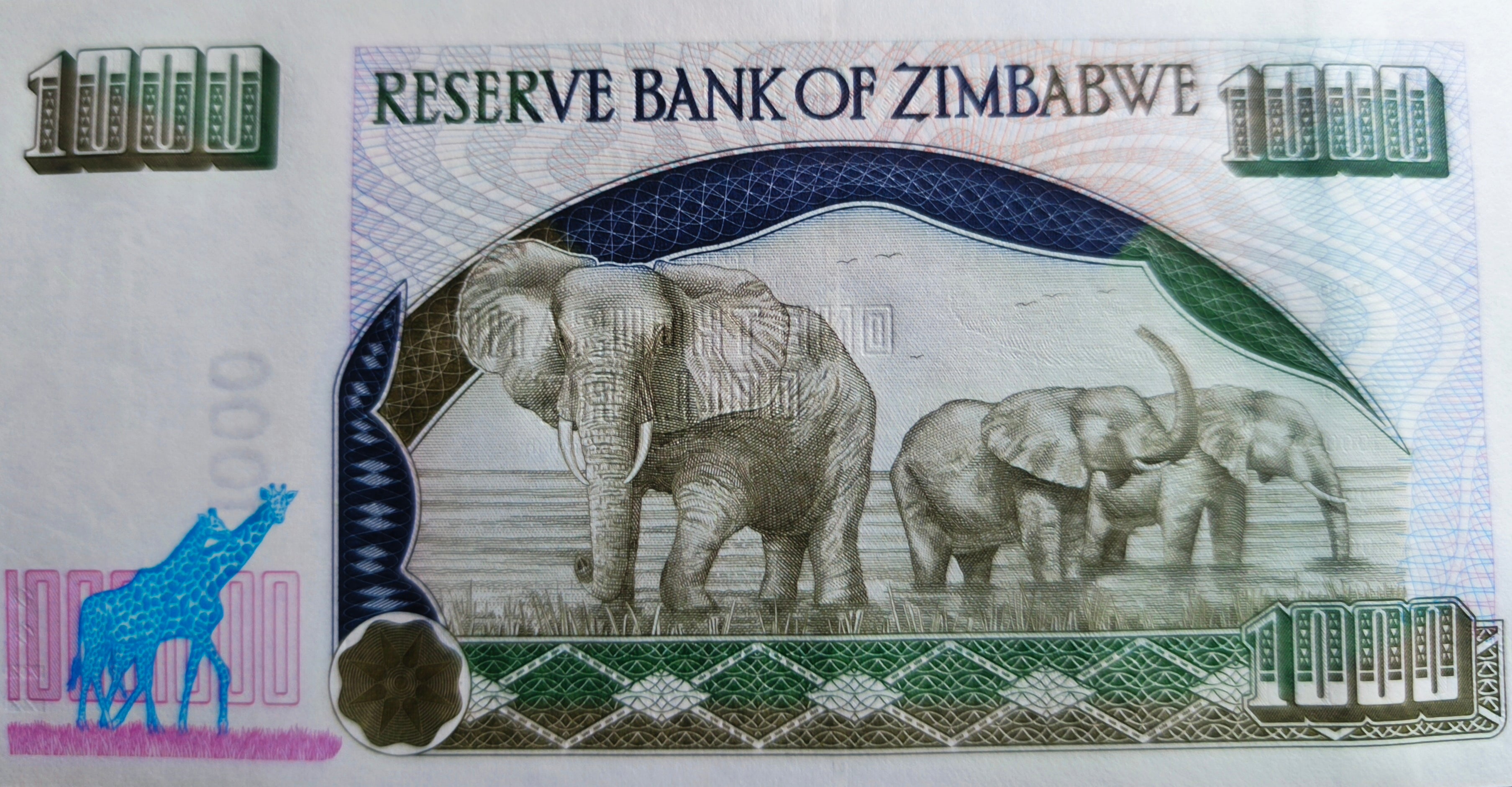 Zimbabwe 1000 dollar 2003 Elephant Banknote UNC