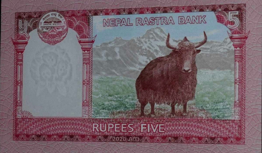 Nepal 5 rupees 2020 Yak Banknote UNC